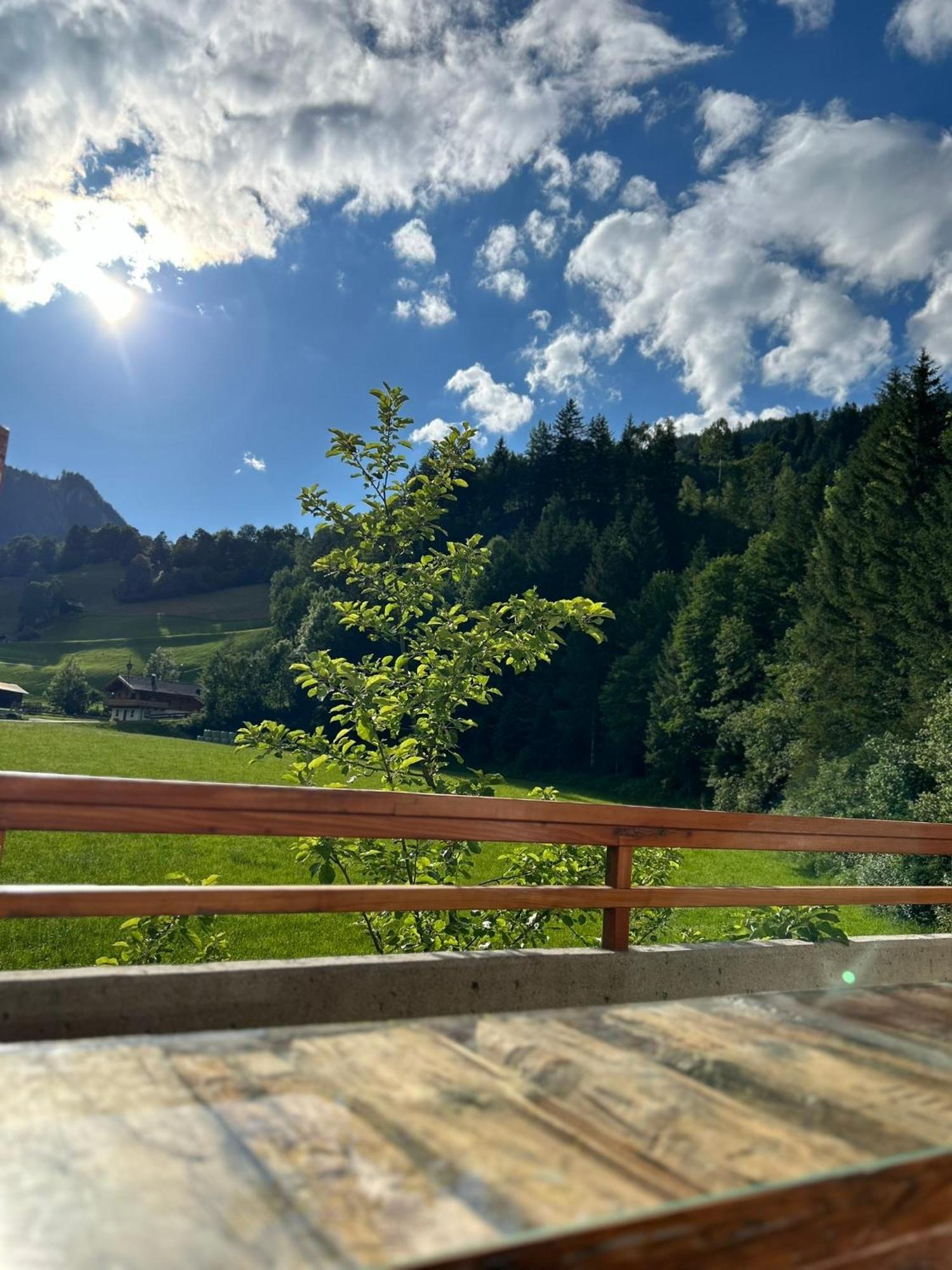 Bergblick Apartment Wald im Pinzgau Zewnętrze zdjęcie